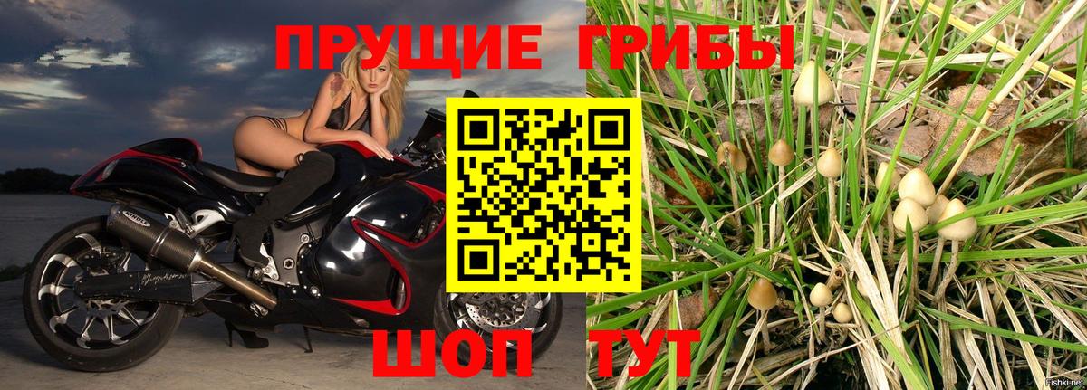 Лесозаводск  Галлюциногенные грибы прущие грибы  Галлюциногенные грибы Magic Shrooms  Вход с VPN 