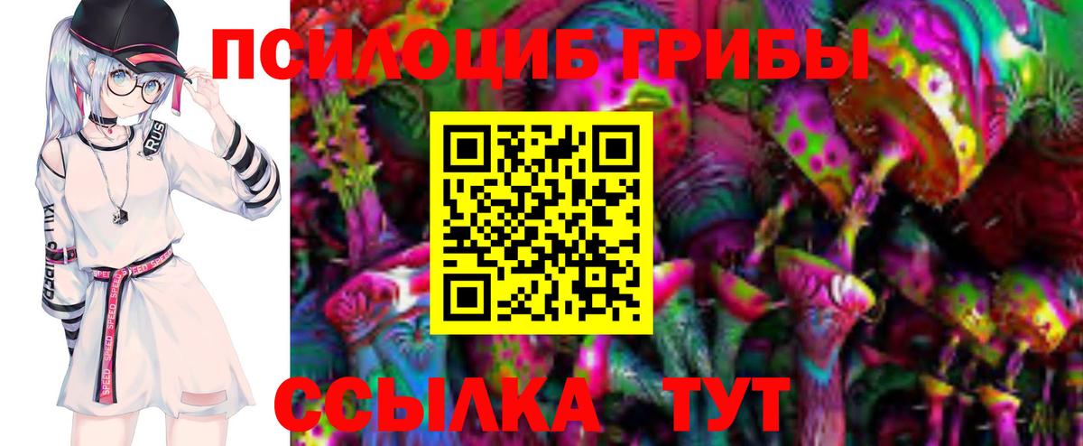 Галлюциногенные грибы прущие грибы Лесозаводск